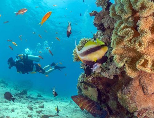 A Beginner’s Guide to Scuba Diving in Vanuatu: What You Need to Know