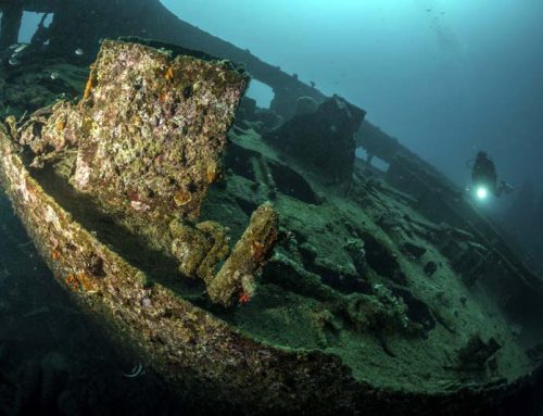 Exploring Vanuatu’s Million Dollar Point: A Dive Into History and Adventure