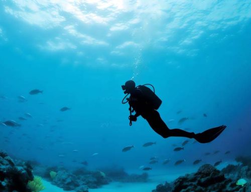 Discover the Best Vanuatu Diving Experiences at Aore Adventures