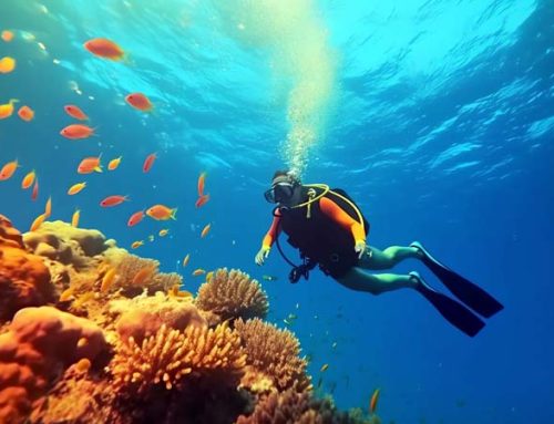 How to Plan the Perfect Diving Trip to Vanuatu: A Complete Itinerary