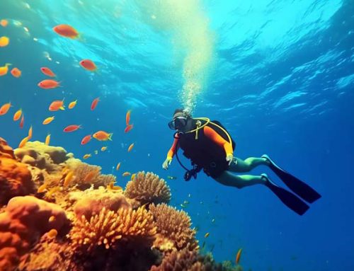 Scuba Diving in Vanuatu